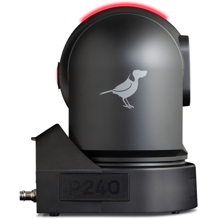 BirdDog P240 40X Full NDI PTZ Camera in Black with HDMI and 3G-SDI outputs