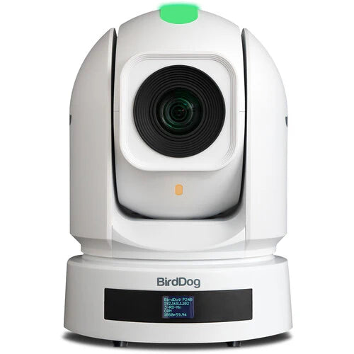 BirdDog P240W 1080p Full NDI PTZ Camera in White