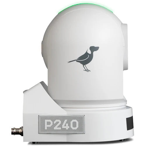 BirdDog P240W 1080p Full NDI PTZ Camera in White