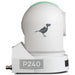 BirdDog P240W 1080p Full NDI PTZ Camera in White