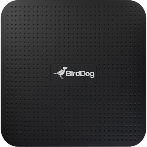 BirdDog PLAY 4K NDI® Player connected to a display via HDMI