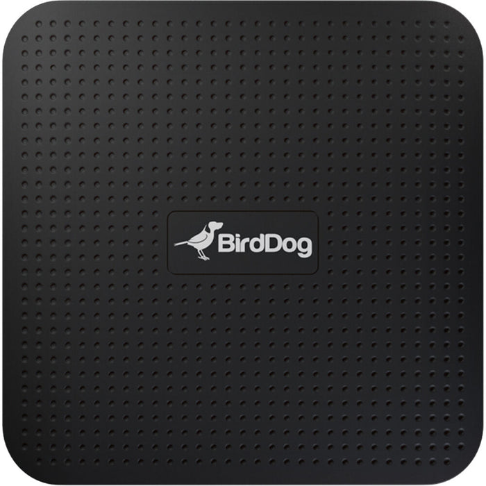 BirdDog PLAY 4K NDI® Player connected to a display via HDMI