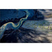 BirdDog VideoWall Software and four PLAY 4K NDI Players Kit