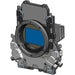 Canon EOS C80 6K Full-Frame Cinema Camera with RF Mount and Dual Pixel CMOS AF II