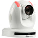 Datavideo PTC-285W 4K UHD PTZ Camera with AI Tracking, offering 12X optical zoom, 4K resolution, and smooth pan-tilt control for professional streaming.