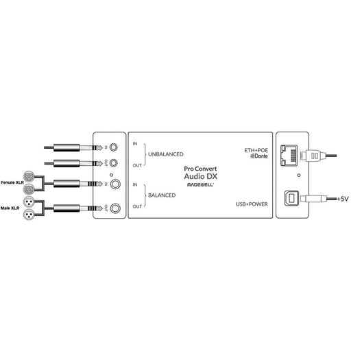 Magewell Pro Convert Audio DX IP Audio Converter