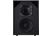 Q-SYS SC-1120 passive 2-way 12-inch screen channel loudspeaker designed for small cinema rooms