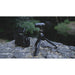 Shure MoveMic 88+ Wireless Microphone Kit for Mobile Devices and Cameras
